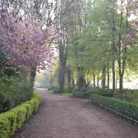 Richelieu 3* كاليه